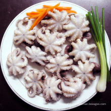 Cooked Frozen Octopus Leg Frozen Octopus Cut Frozen Baby Octopus